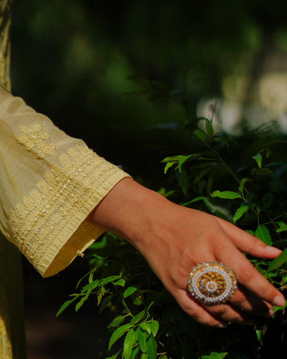 Noor-e-Afroz (Sunlit Whispers)